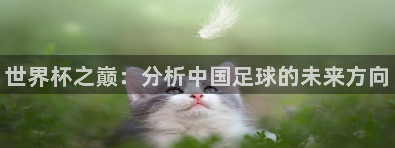 世界杯 中国：世界杯之巅：分析中国足球的未来方向