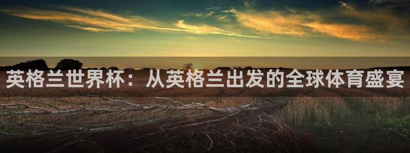 世界杯葡萄牙赛程：英格兰世界杯：从英格兰出发的全球体育盛宴