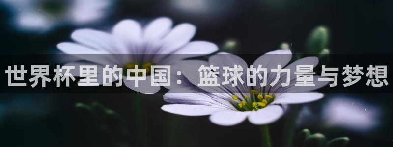 2026世界杯日期：世界杯里的中国：篮球的力量与梦想