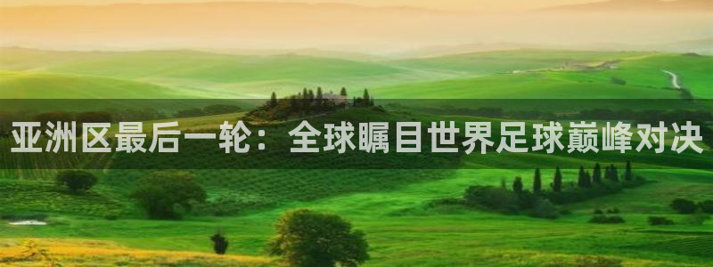 世界杯48支球队赛制：亚洲区最后一轮：全球瞩目世界足球巅峰对决
