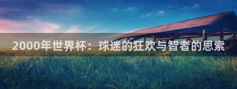世界杯球队：2000年世界杯：球迷的狂欢与智者的思索