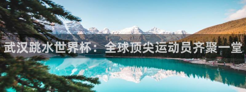 世界杯决赛直播：武汉跳水世界杯：全球顶尖运动员齐聚一堂