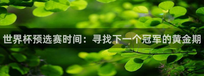 世界杯预选赛直播：世界杯预选赛时间：寻找下一个冠军的黄金期