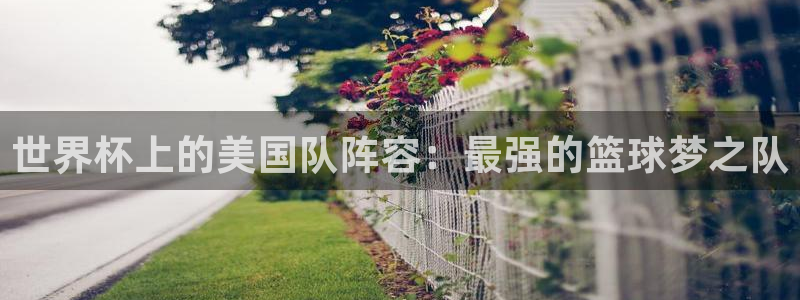 世界杯2026赛程表：世界杯上的美国队阵容：最强的篮球梦之队