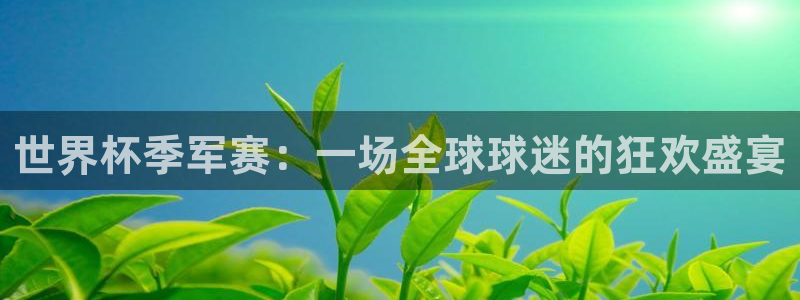 世界杯第一场比赛：世界杯季军赛：一场全球球迷的狂欢盛宴
