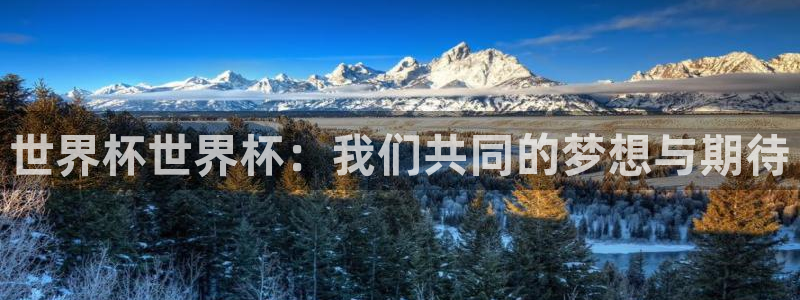 2026世界杯买球：世界杯世界杯：我们共同的梦想与期待