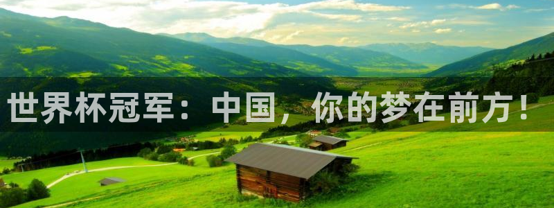 免费看足球直播比赛：世界杯冠军：中国，你的梦在前方！