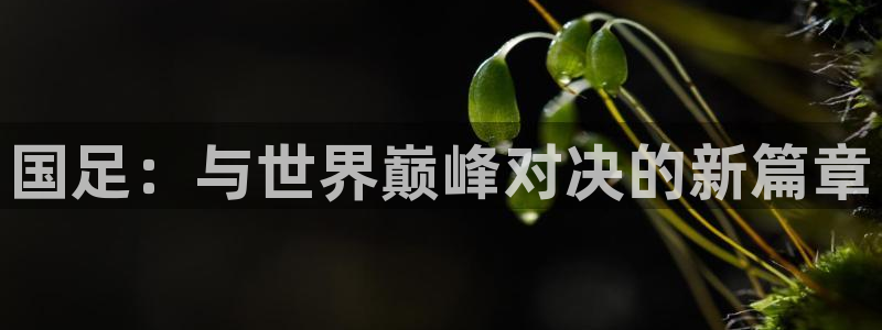 2026世界杯赛制：国足：与世界巅峰对决的新篇章