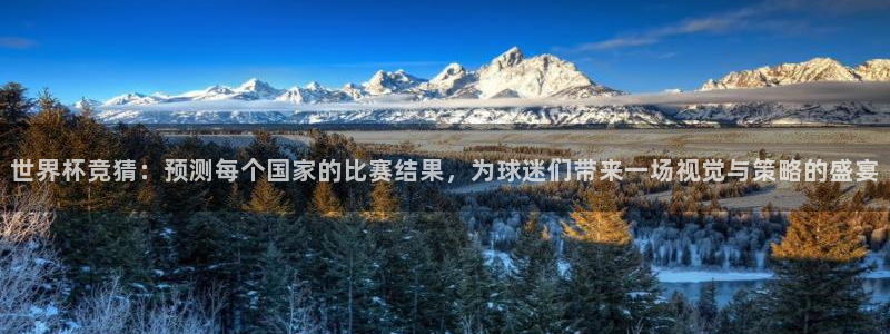 世界杯直播网：世界杯竞猜：预测每个国家的比赛结果，为球迷们带来一场视觉与策略的盛宴