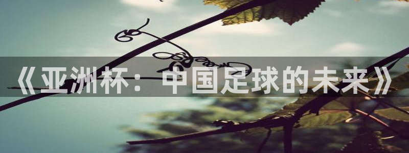 2026世界杯赛制：《亚洲杯：中国足球的未来》